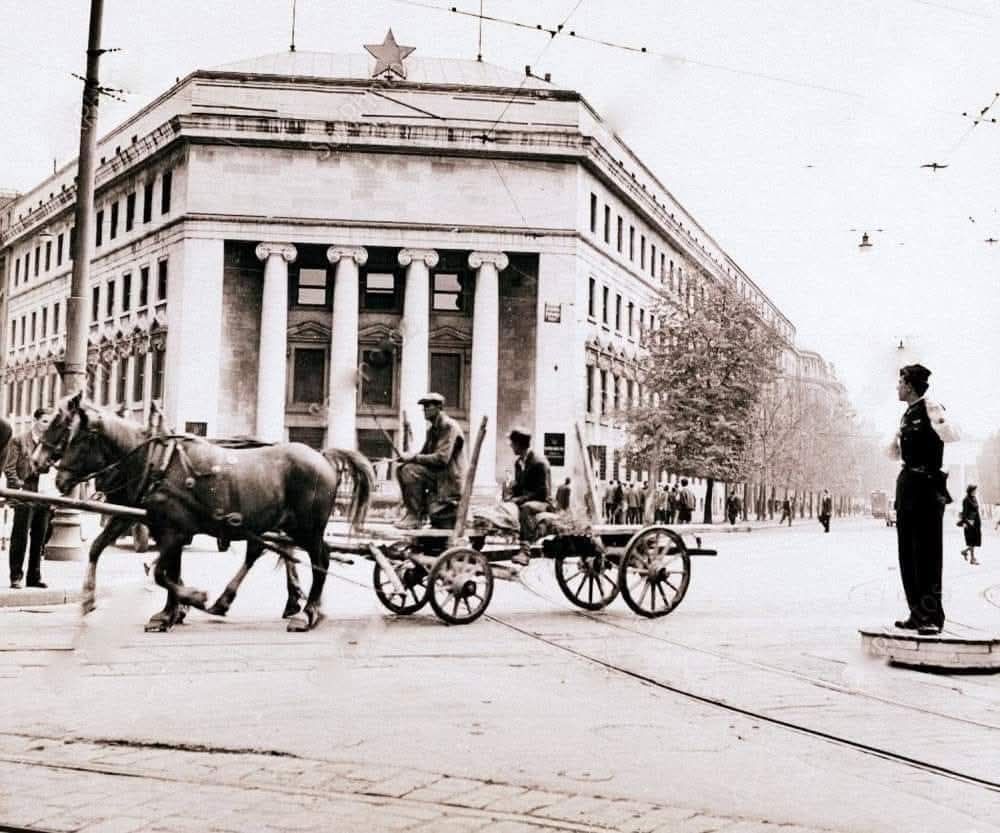 Trg Jože Vlahovića, 1953.godine